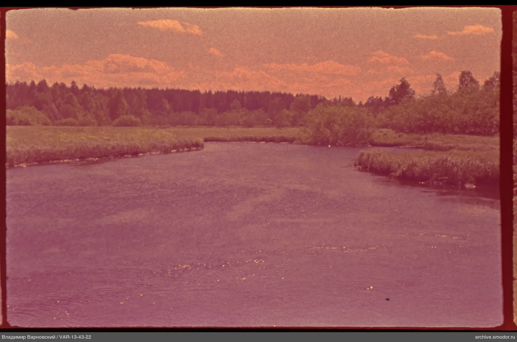 Landschaft mit Fluss und Wald