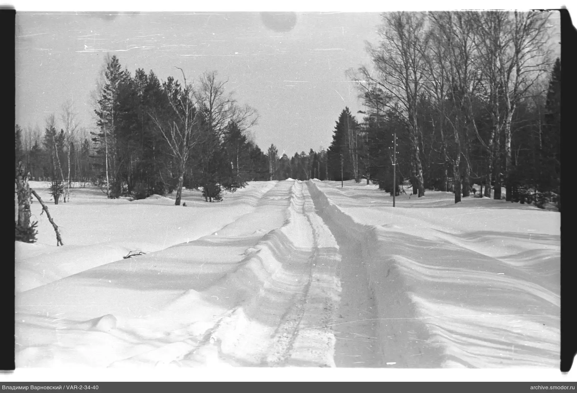 Schneebedeckte Straße mit Bäumen und Wald
