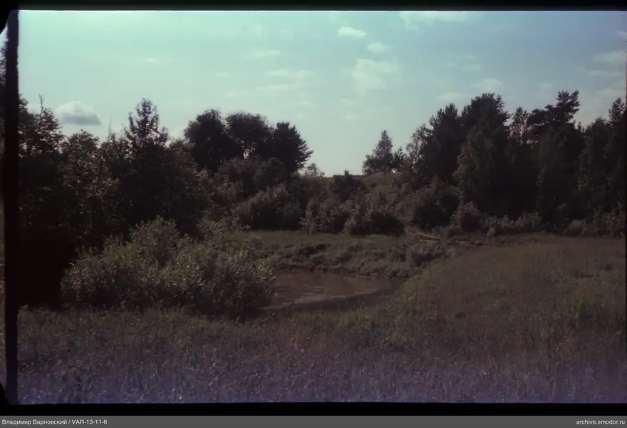 River bend with banks and trees
