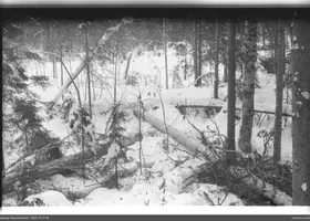 VAR-15-27-8