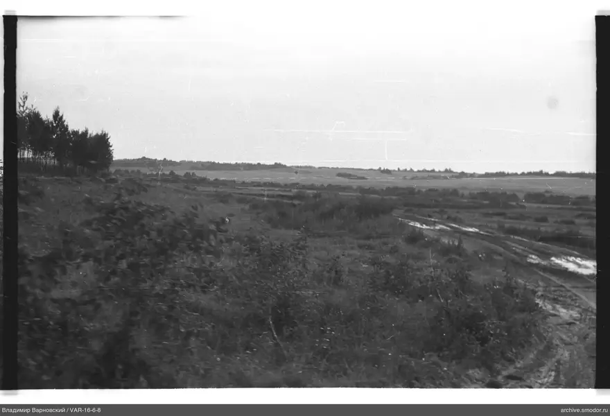Offene Flachlandlandschaft mit Straße und Bäumen