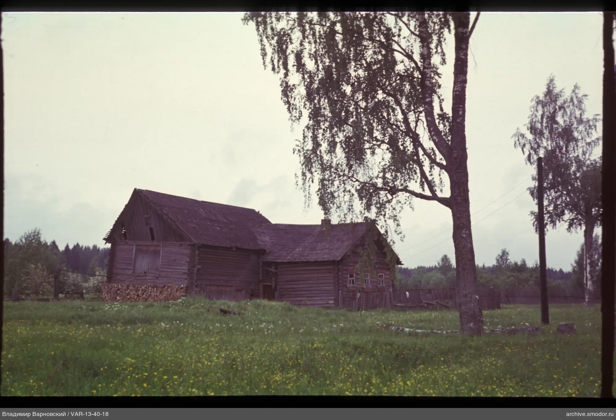 Holzhaus mit Wiese und Bäumen
