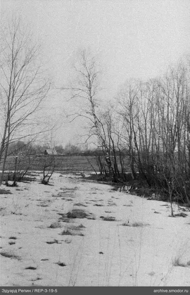 Landschaft mit kahlen Bäumen und Schneeflecken