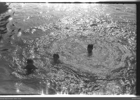 VAR-1-54-8