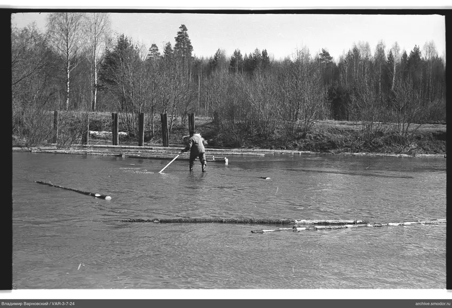 Man with a pole in the water by the shore