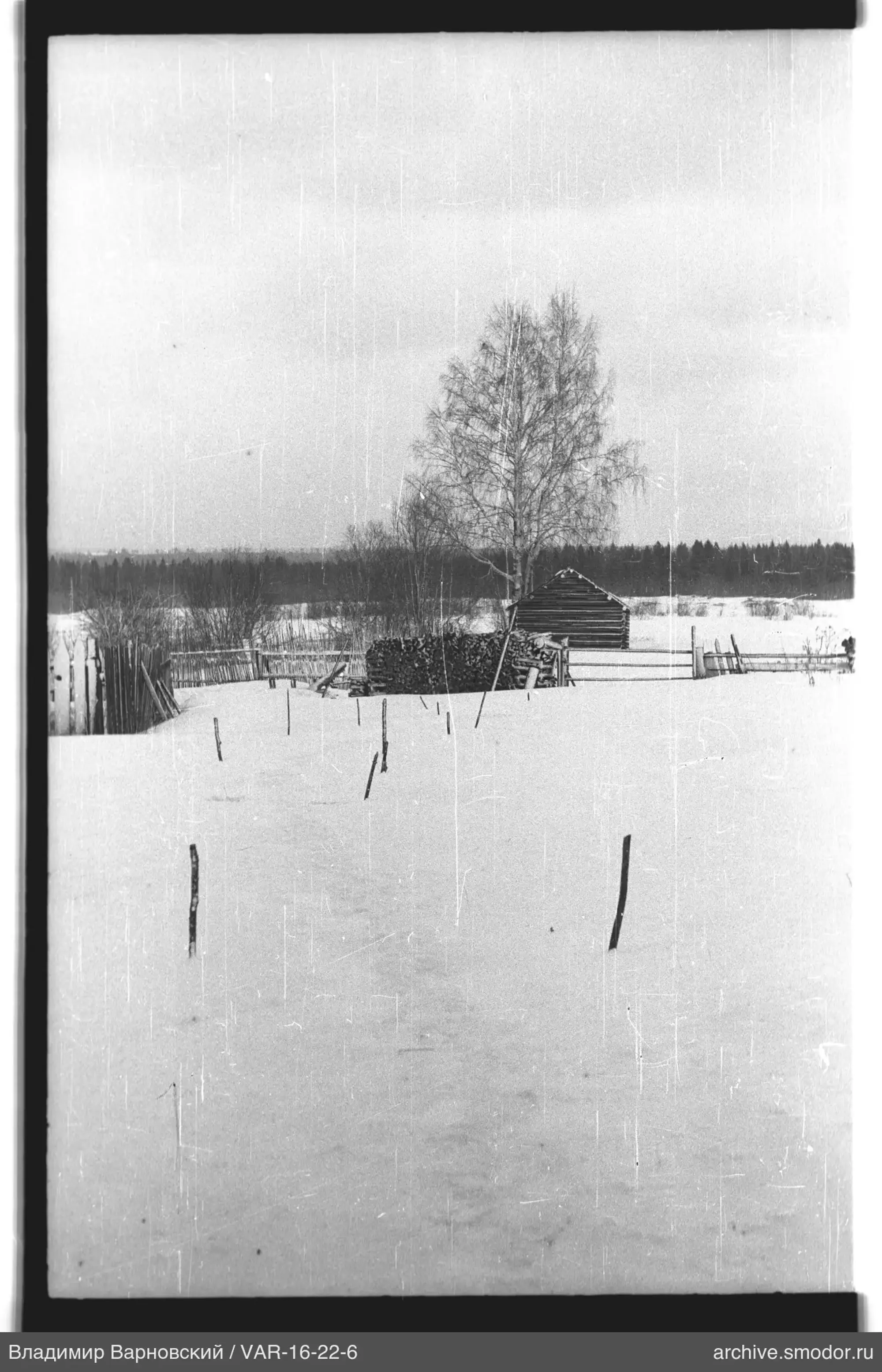 Schneebedecktes Feld mit Stöcken und Bäumen