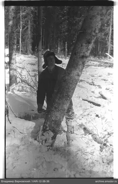 Man with an axe by a leaning tree