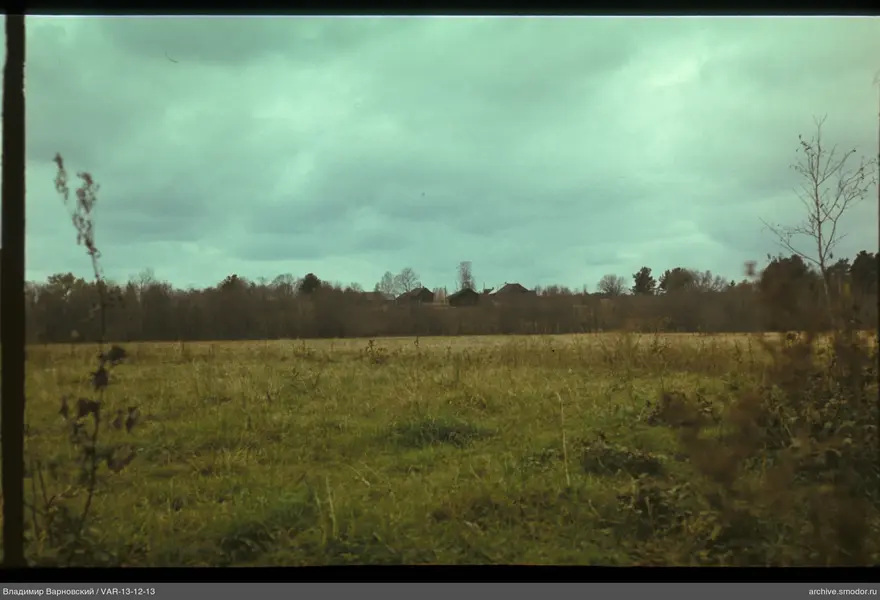 Landscape with field and trees
