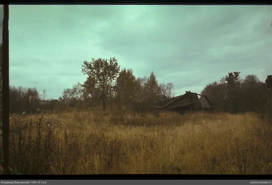 Landscape with trees and a damaged structure