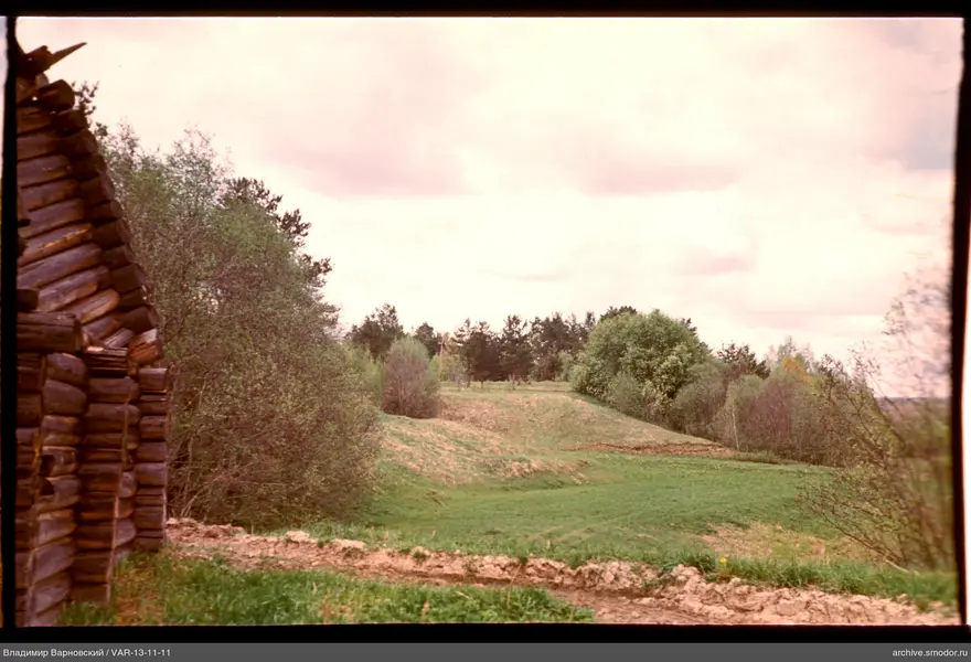 Part of a wooden log structure and landscape