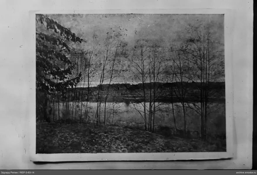 Landschaft mit Bäumen und Wasser