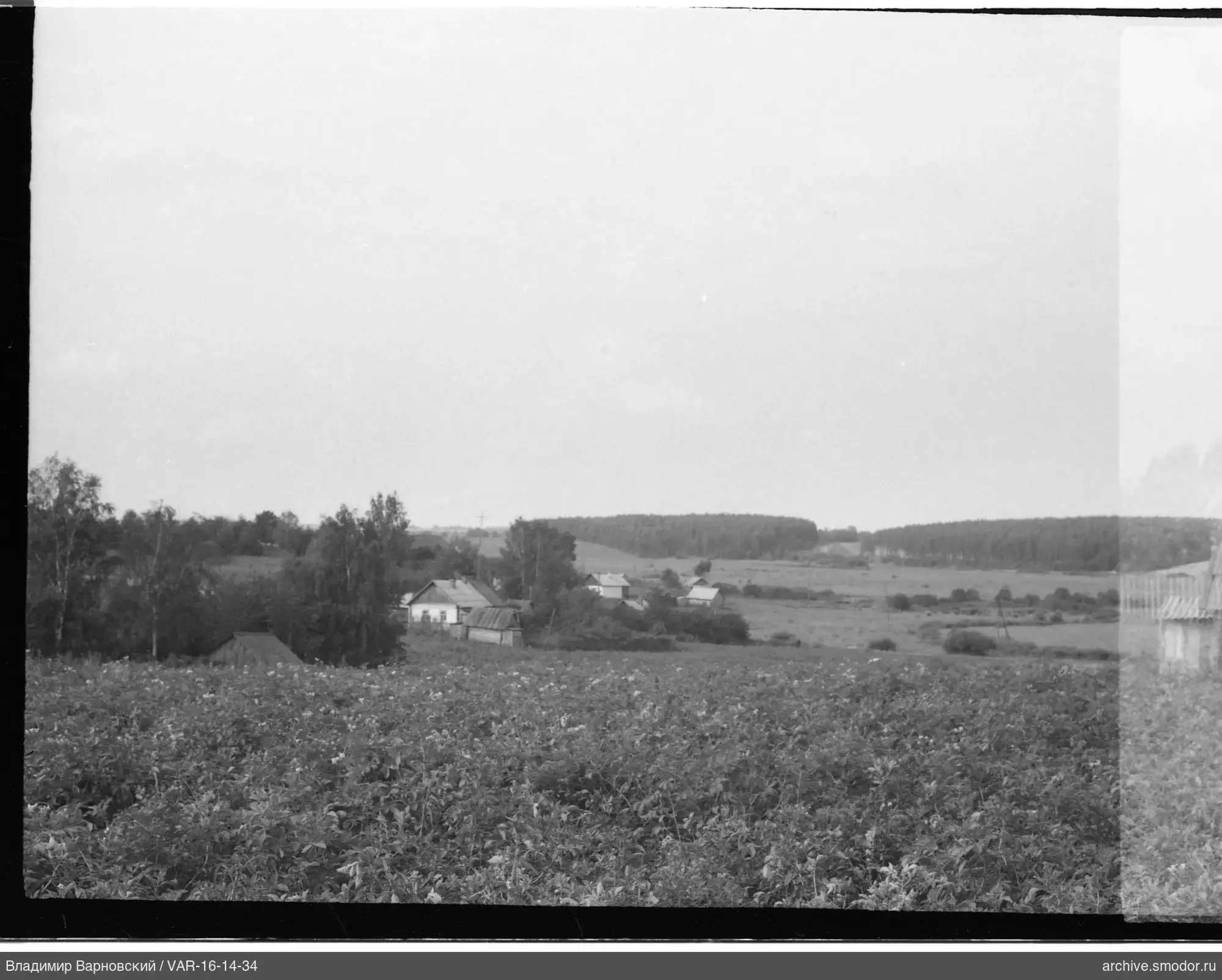 Landschaft mit Häusern und Wald