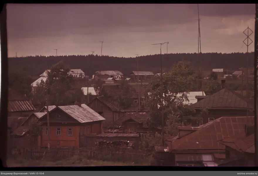 Village with houses, antennas, and forest