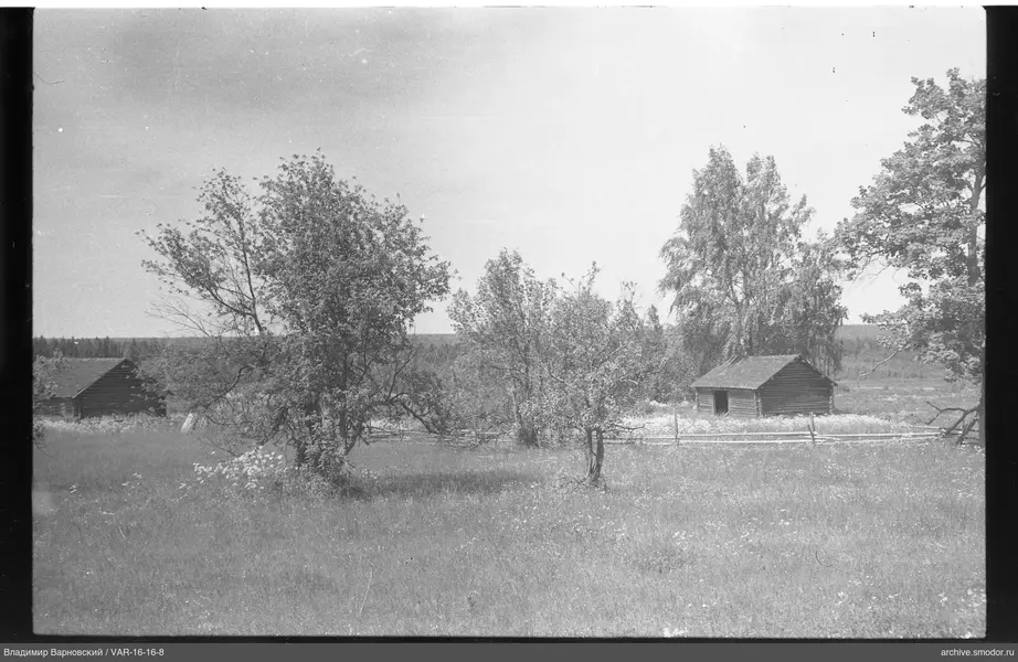Landschaft mit Bäumen und Holzbauten