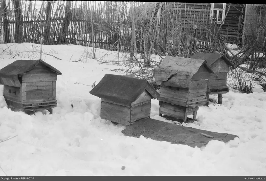Vier hölzerne Bienenstöcke im Schnee