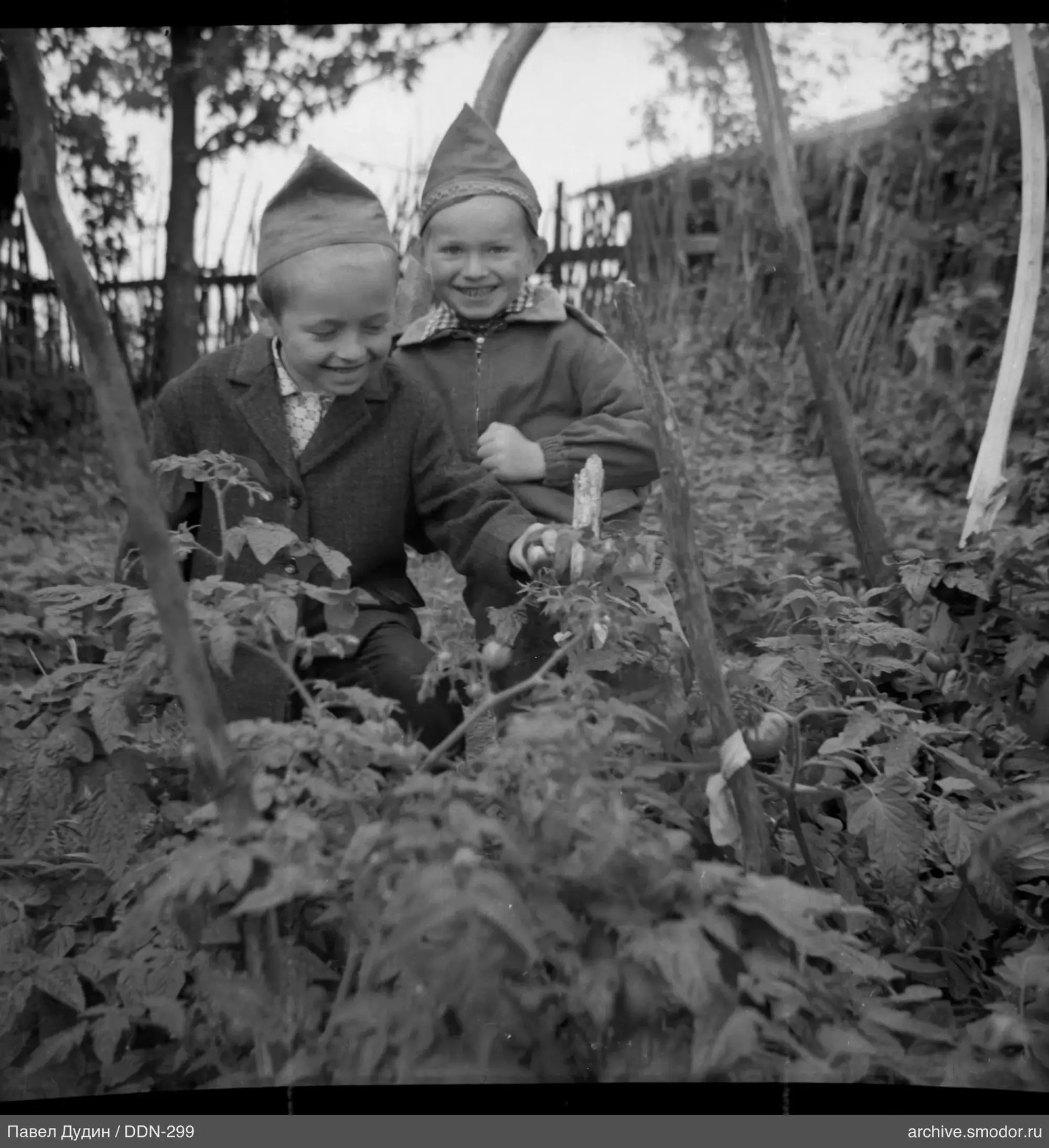 Two boys in caps in a vegetable garden