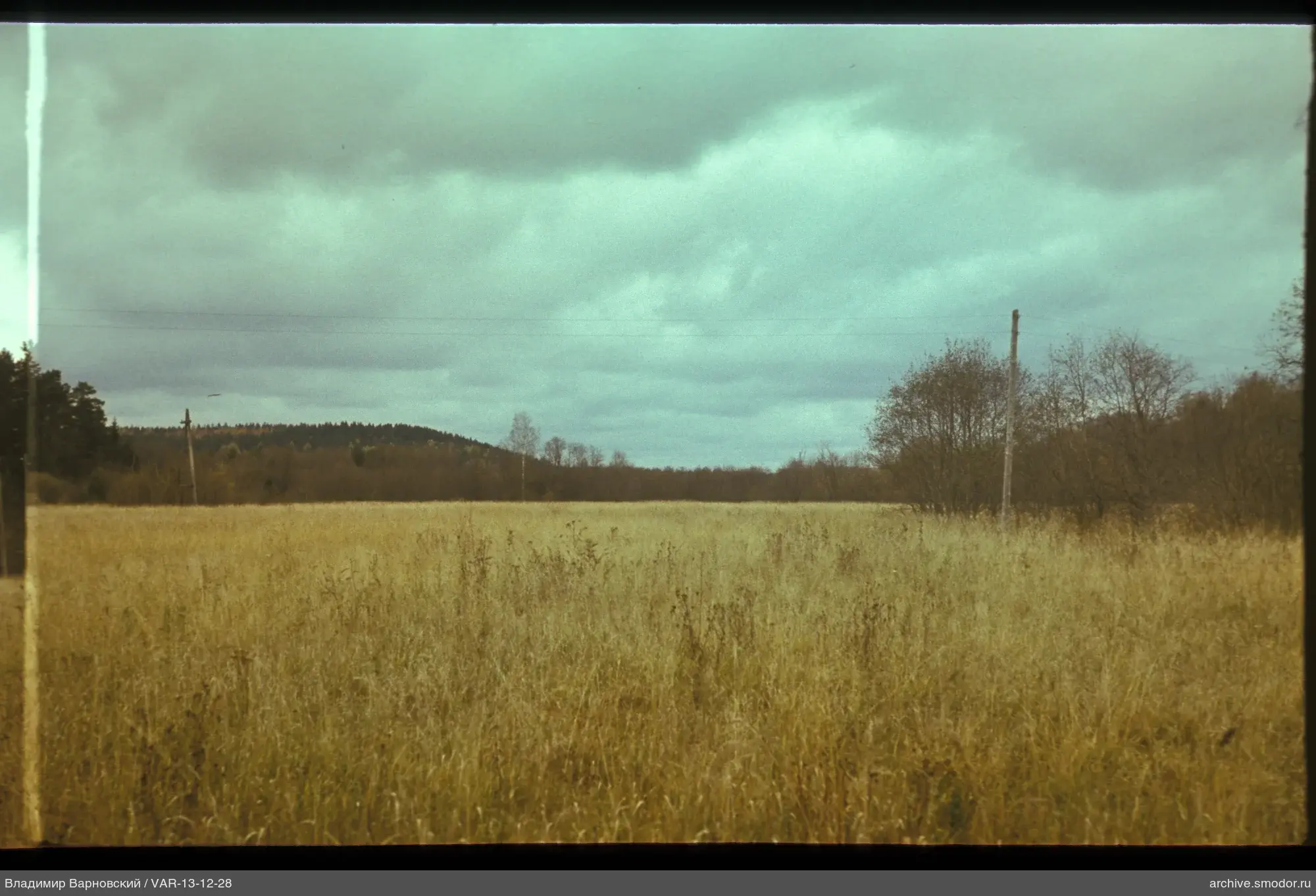 Feld mit trockenem Gras und Bäumen