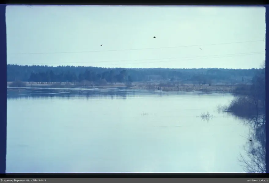 View of the river and forest