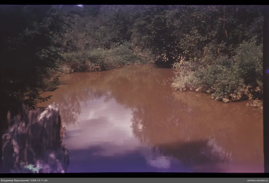 River with reflection and forest surroundings