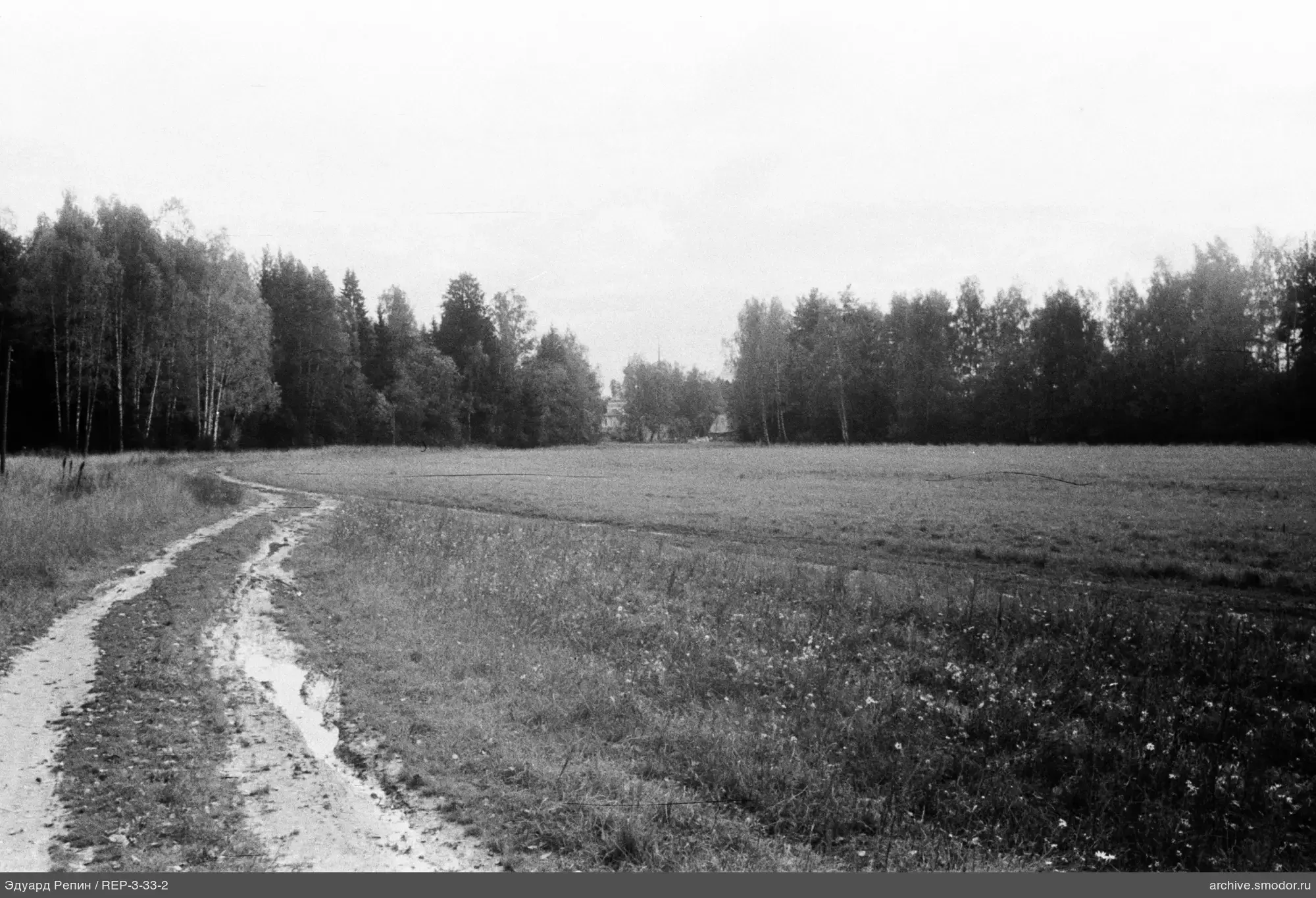Straße entlang Feld mit Bäumen und Kirche