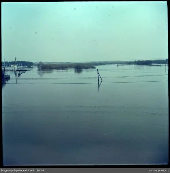 Flooded area with trees and fences