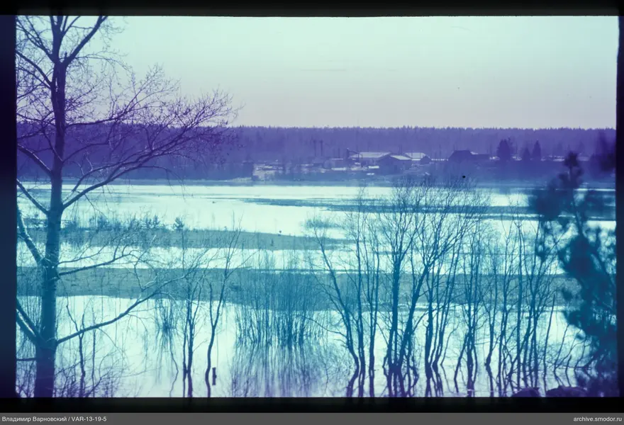Пейзаж с затопленными деревьями и разливом реки