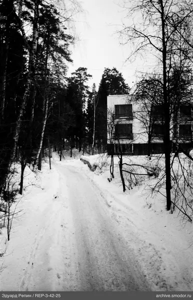 Verschneite Straße und Wald