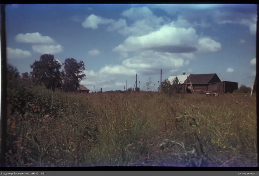 Landscape with field and wooden house
