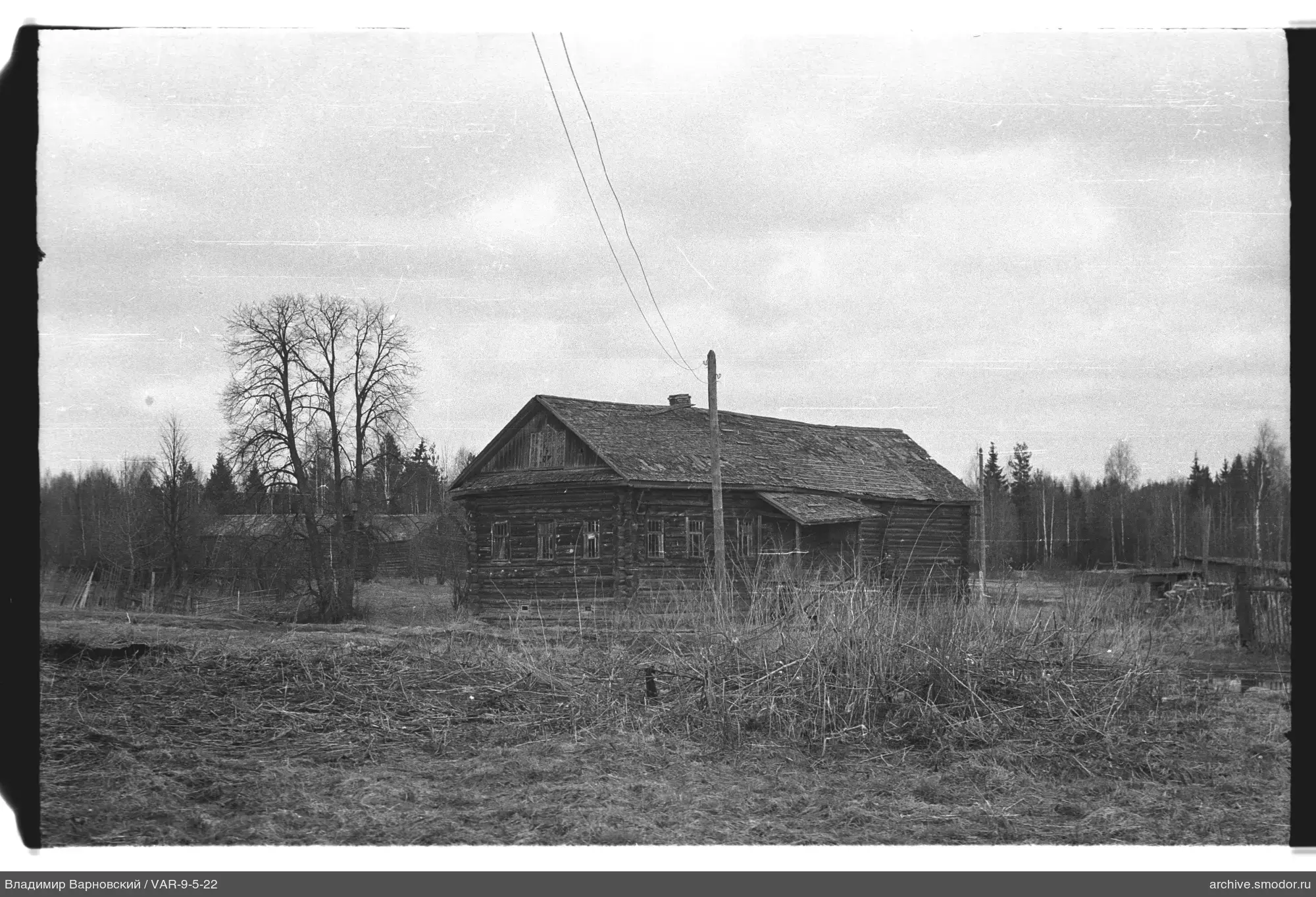 Holzhaus mit Baum und Drähten