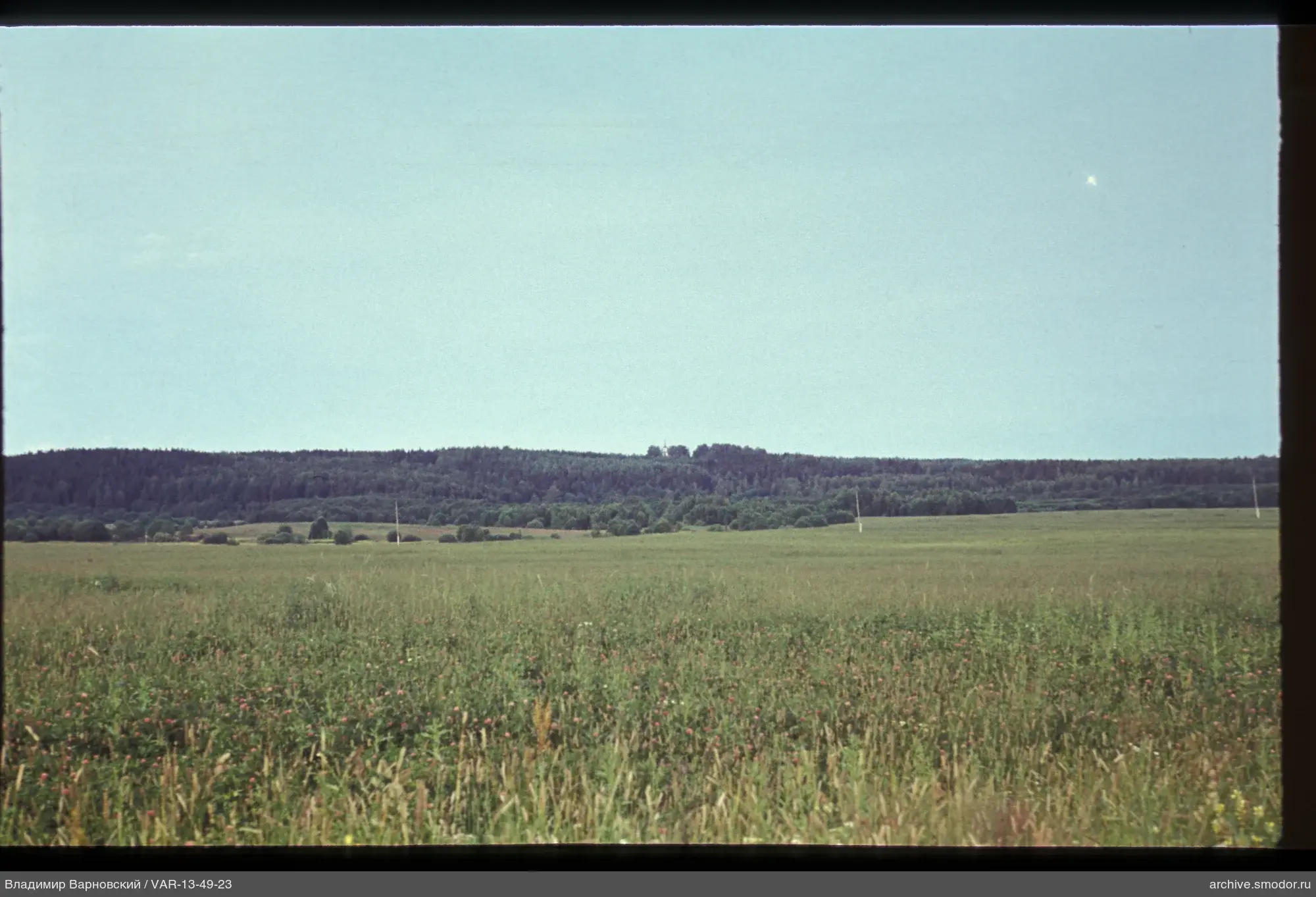 Landschaft mit Feld und Wald