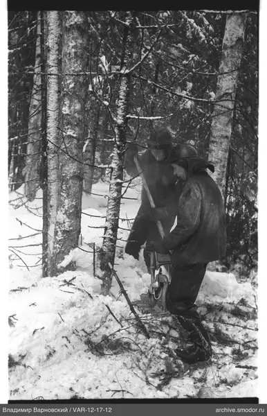 Two men in the forest with tools