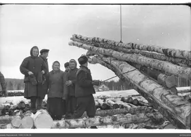 VAR-15-56-15