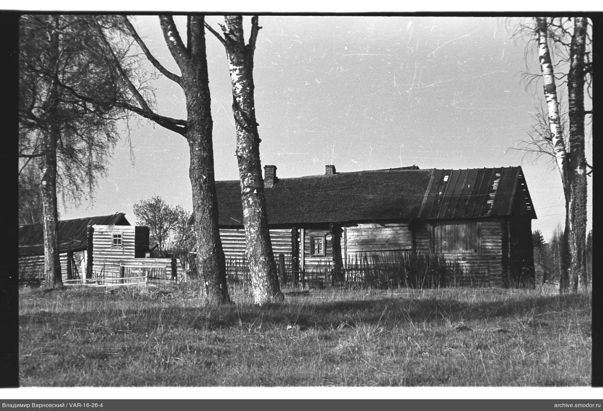 Holzhaus mit Schornsteinen und Birken