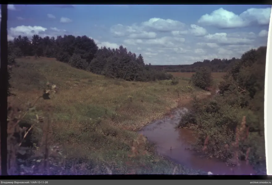 Landscape with stream and forest