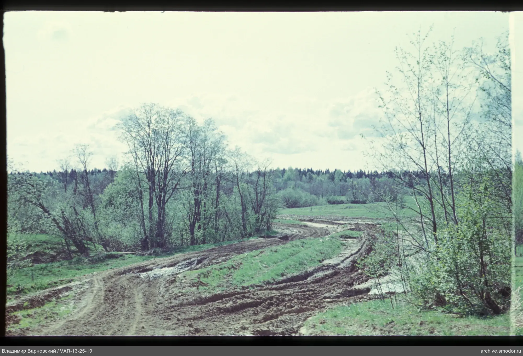 Schmutzige Straße mit Bäumen und Wald im Hintergrund
