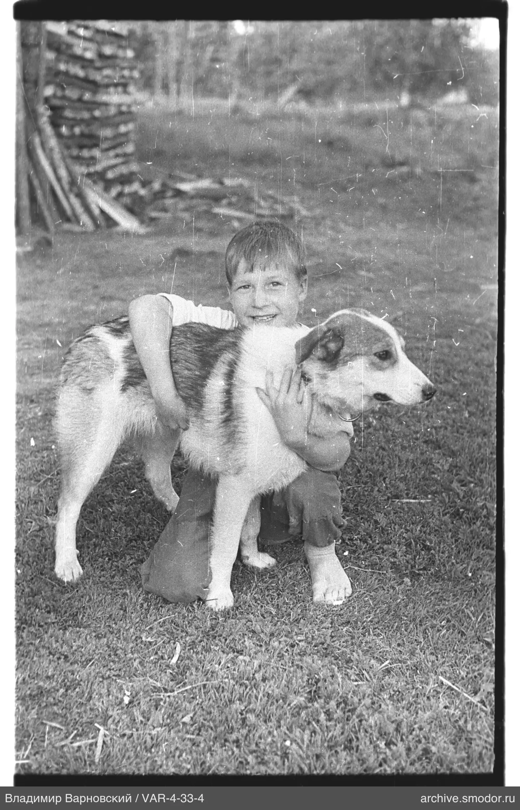 Child with dog on grass
