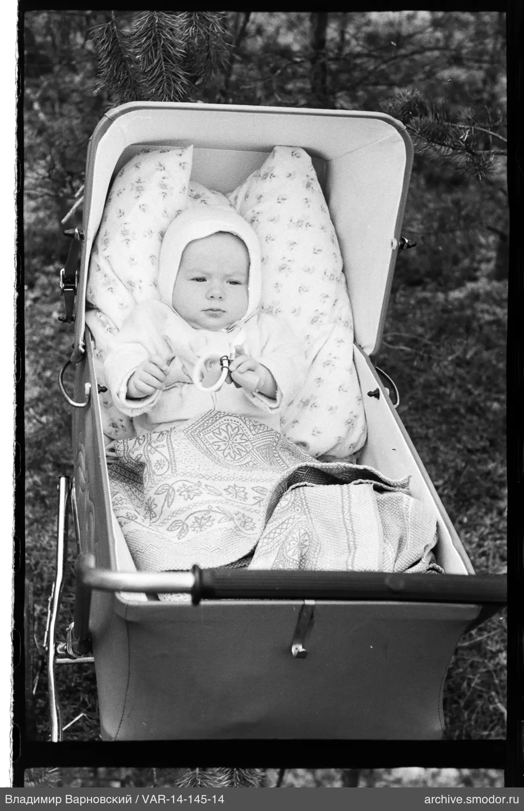 Kind im Kinderwagen vor Baumhintergrund