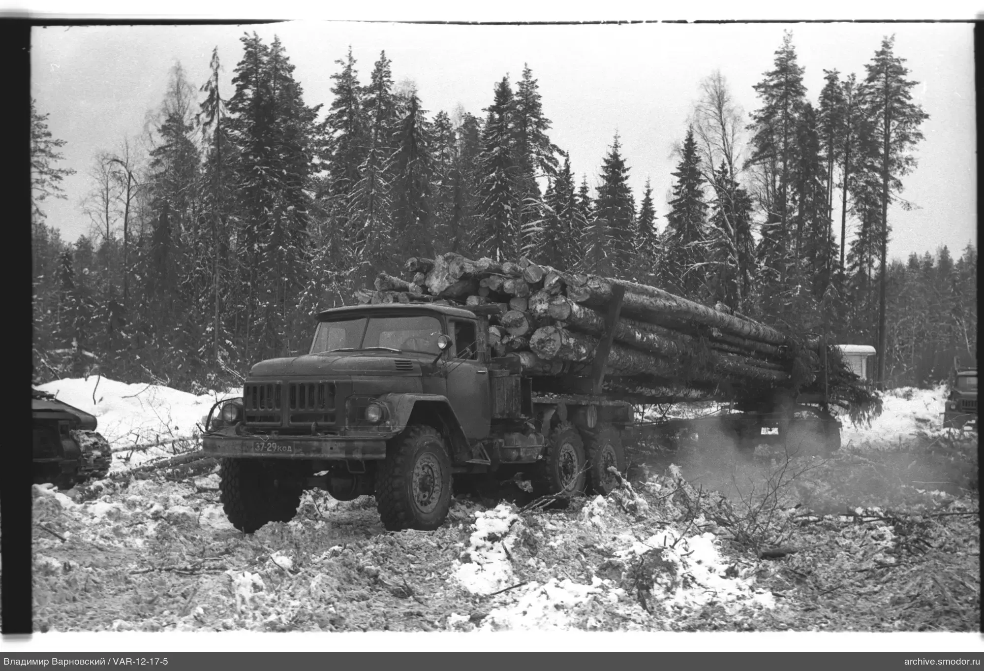 Lastwagen mit Baumstämmen auf Waldstraße