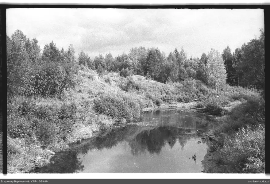 Blick auf den Fluss mit Baumspiegelungen