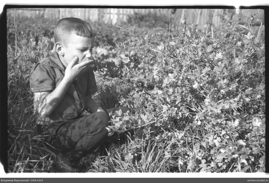 Child sitting on the grass near a bush