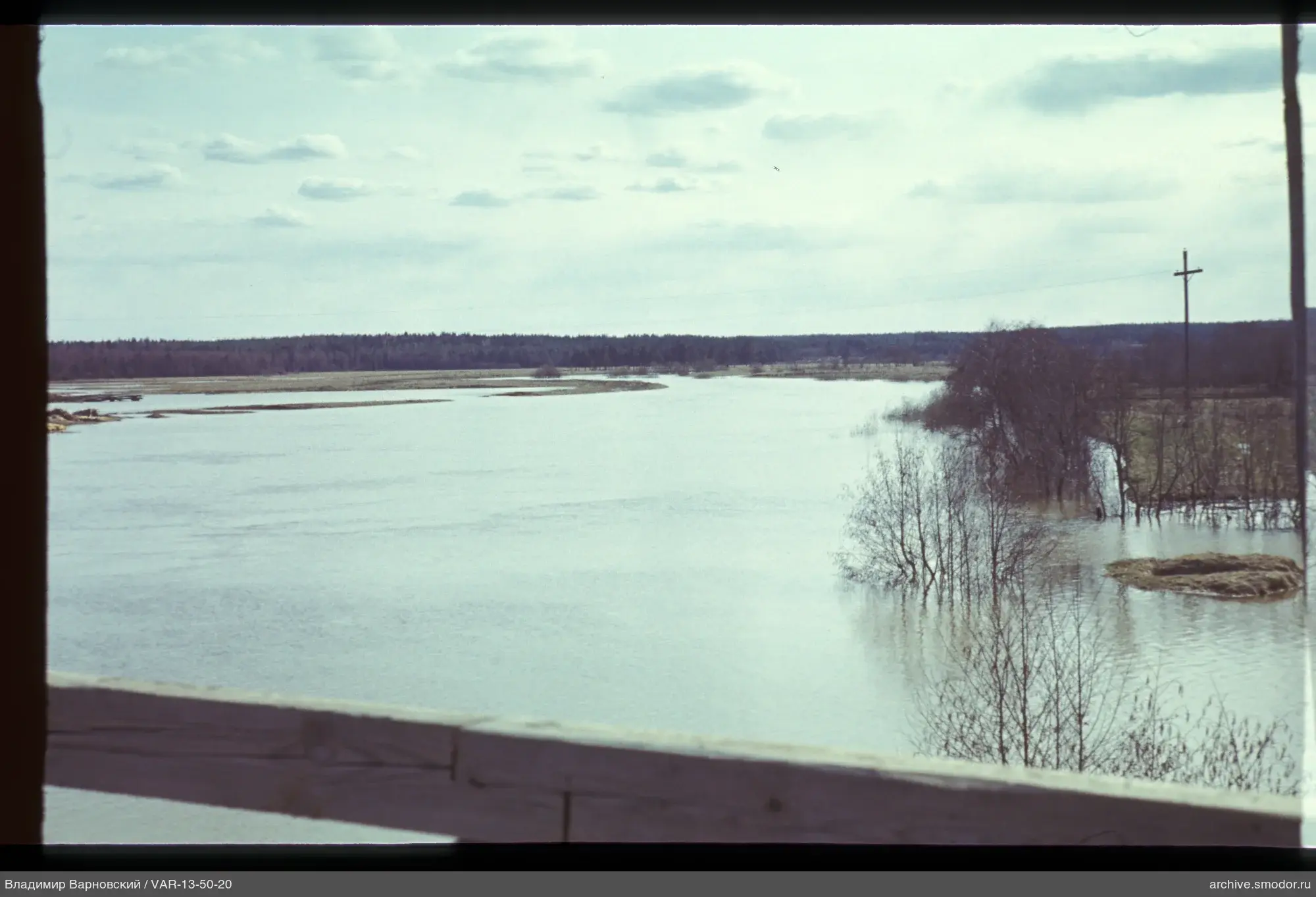 Breiter Fluss mit überfluteten Bäumen