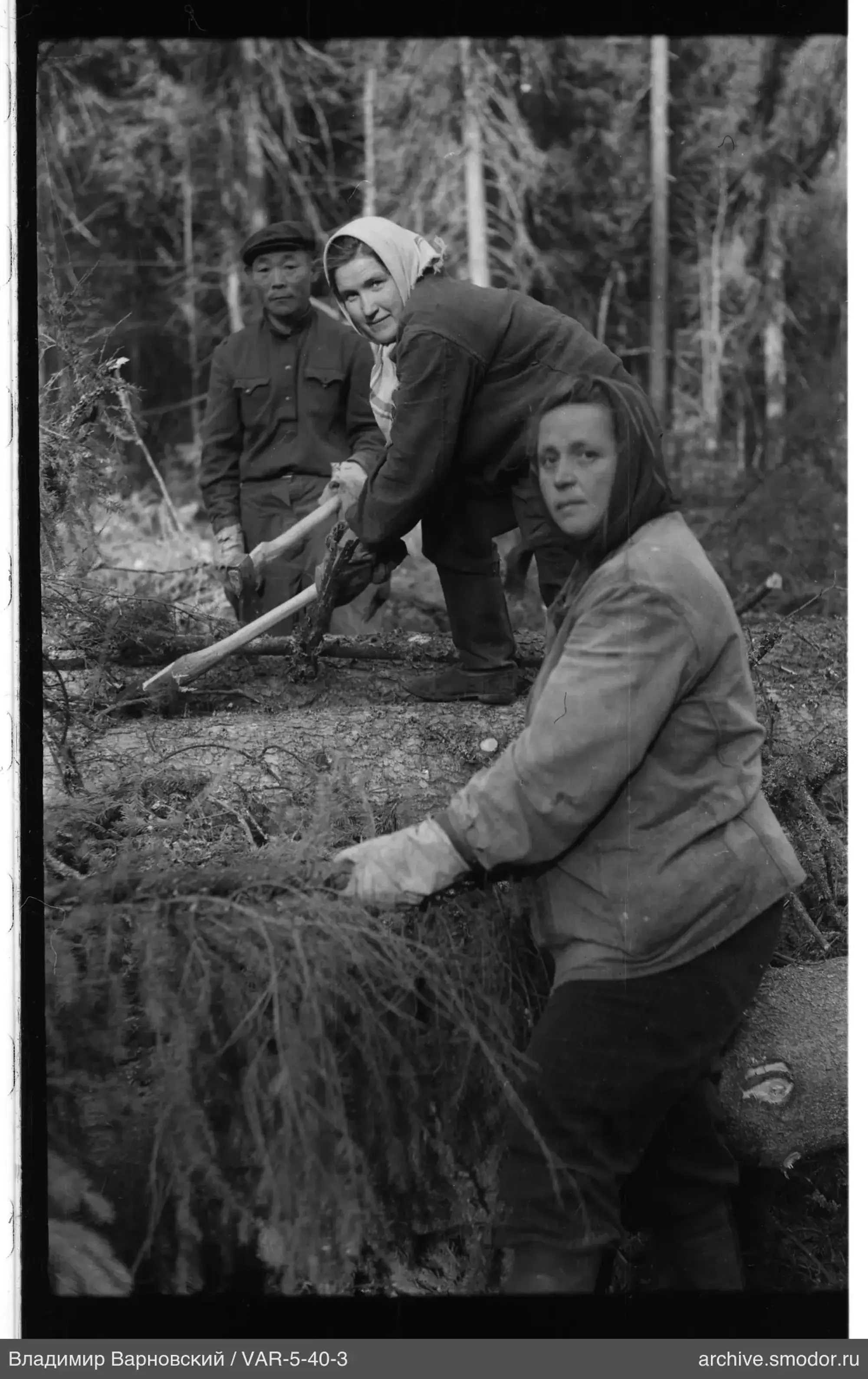 Люди с топором у упавшего дерева