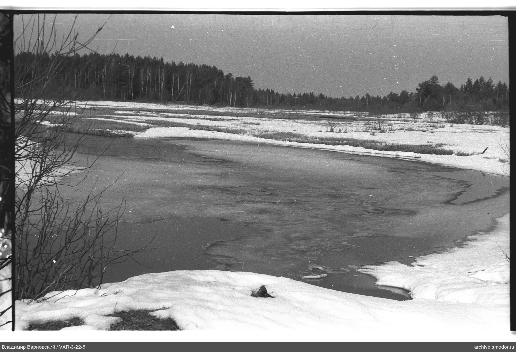 Zu gefrorener Gewässer mit Wald und Schnee