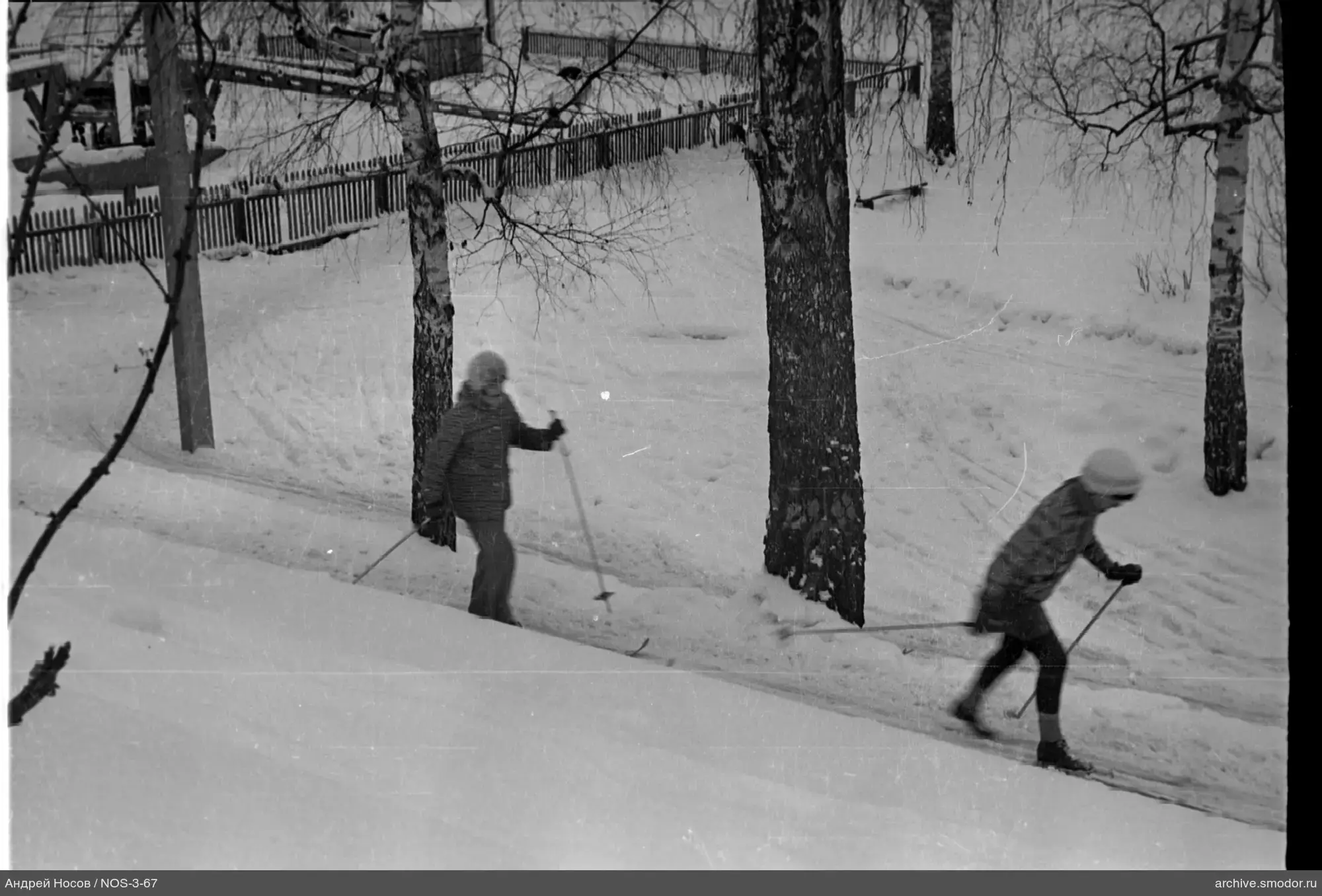 Люди на лыжах на заснеженной тропе