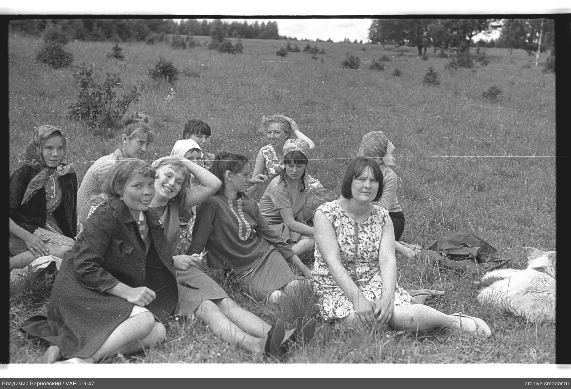 Gruppe Frauen auf Gras mit Hund