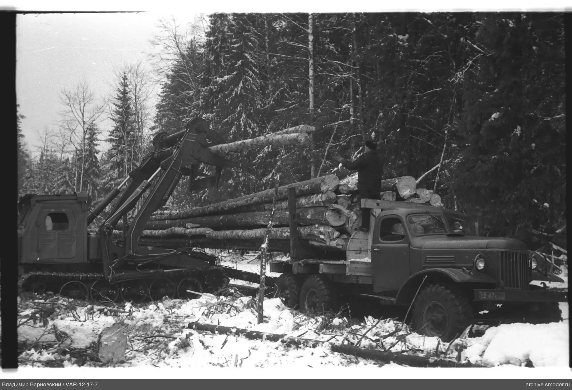 Cargo truck and excavator in the forest
