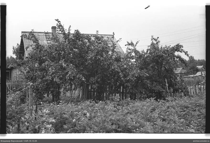 Landschaft mit Vegetation und Holzbauten