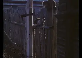 Holzzaun mit zwei Katzen