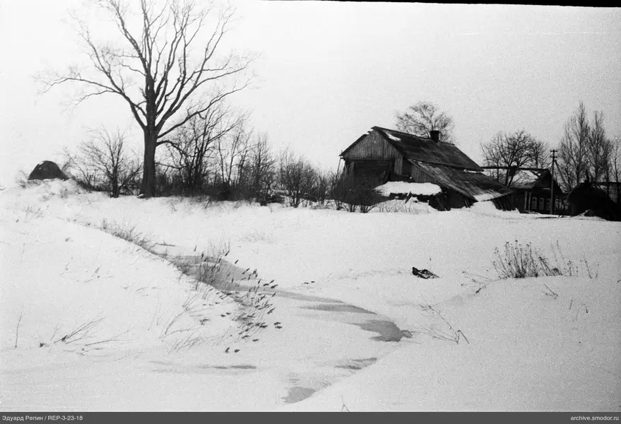 Landschaft mit Baum und Haus