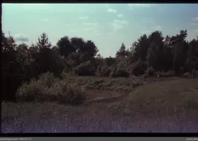 VAR-13-11-6